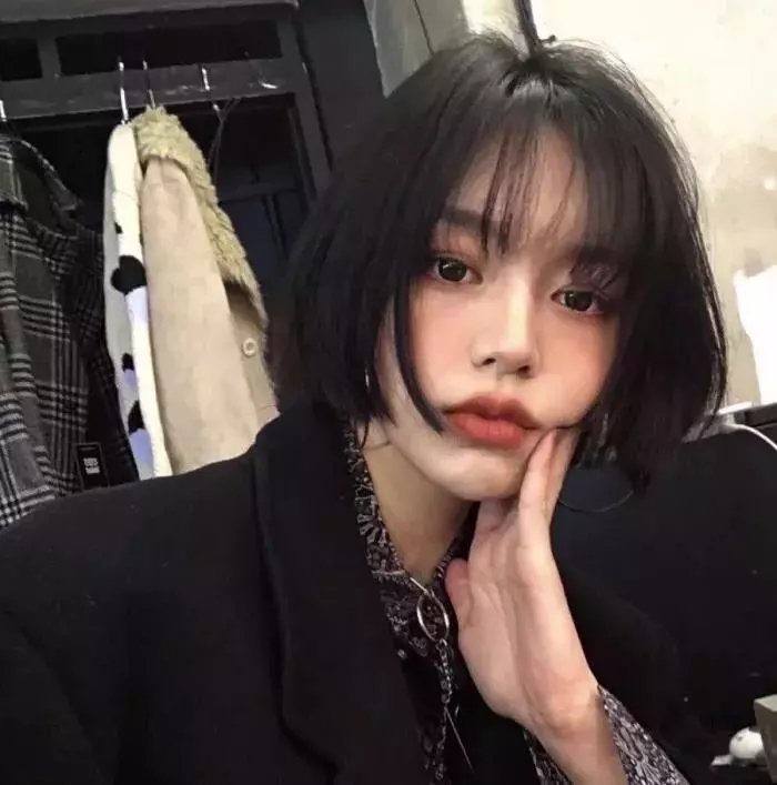 小猫熊历险记